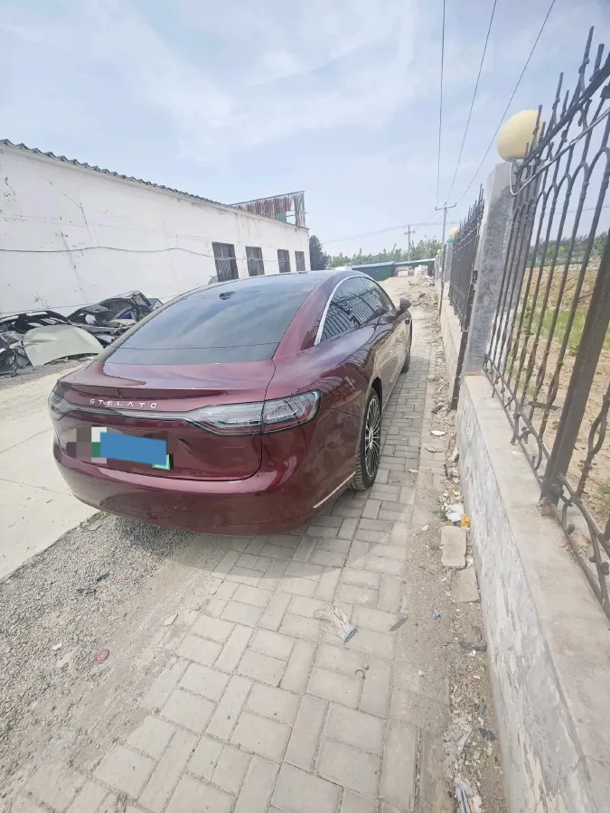2025 HIMA Stelato S9 REEV 160HP REEV,autocango,china used car exporter,china ev exporter,chinese used car exporter,chinese used ev exporter