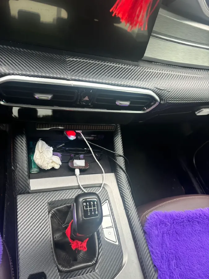 2021 JinBei Sea Lion King 2.0L 136HP L4 6MT,autocango,china used car exporter,china ev exporter,chinese used car exporter,chinese used ev exporter