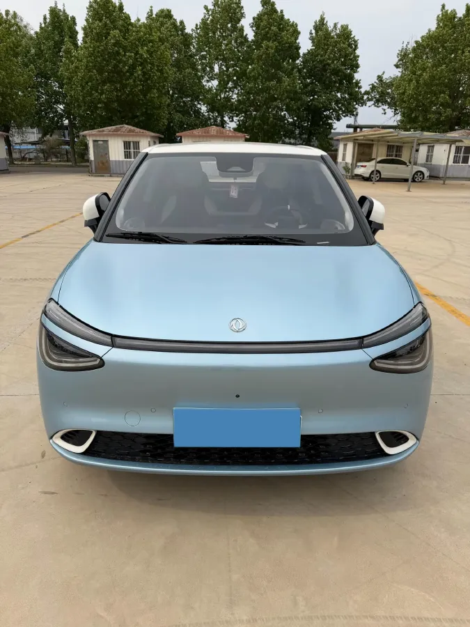 2024 DongFeng Nammi 01 BEV 42.3KWH,autocango,china used car exporter,china ev exporter,chinese used car exporter,chinese used ev exporter