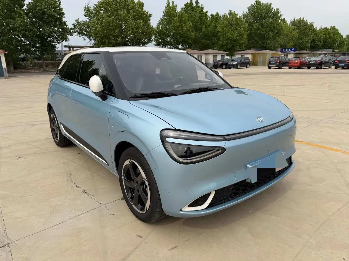 2024 DongFeng Nammi 01 BEV 42.3KWH,autocango,china used car exporter,china ev exporter,chinese used car exporter,chinese used ev exporter