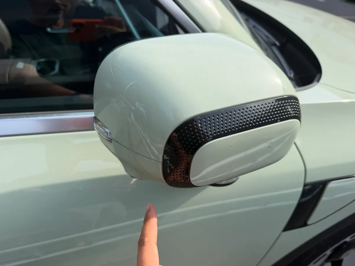 2024 Smart smart Elf 5 BEV 100KWH,autocango,china used car exporter,china ev exporter,chinese used car exporter,chinese used ev exporter