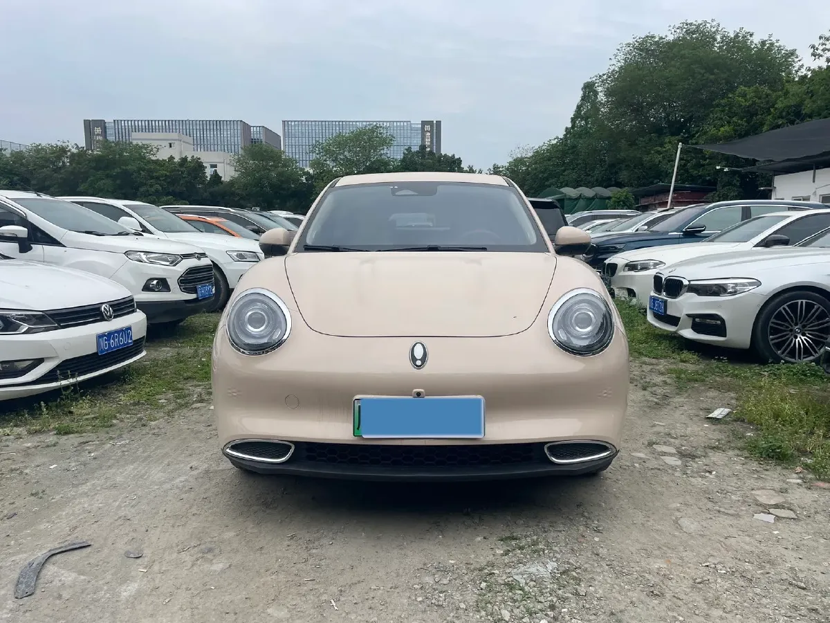 2022 Ora FunkyCat BEV 45.99KWH,autocango,china used car exporter,china ev exporter,chinese used car exporter,chinese used ev exporter