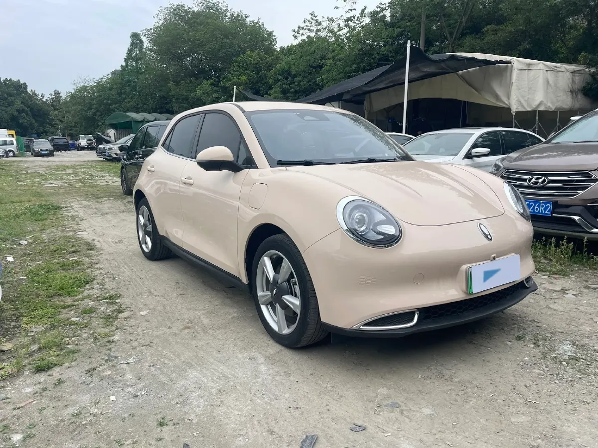 2022 Ora FunkyCat BEV 45.99KWH,autocango,china used car exporter,china ev exporter,chinese used car exporter,chinese used ev exporter