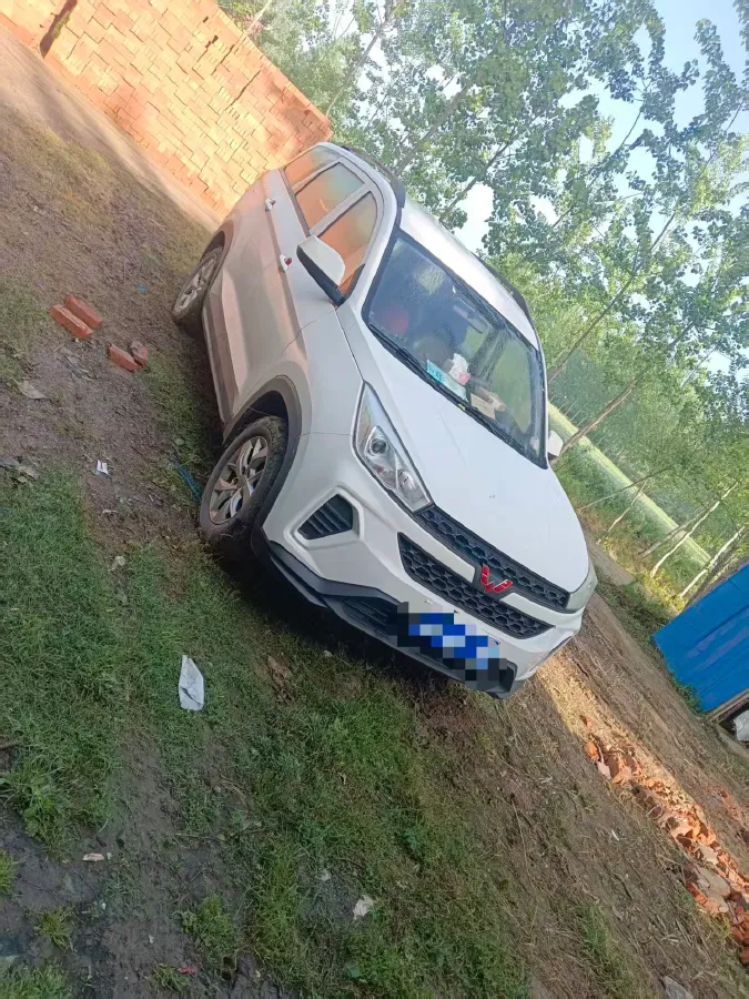 2019 JinBei JinDian 2.2L 116HP L4 5MT,autocango,china used car exporter,china ev exporter,chinese used car exporter,chinese used ev exporter