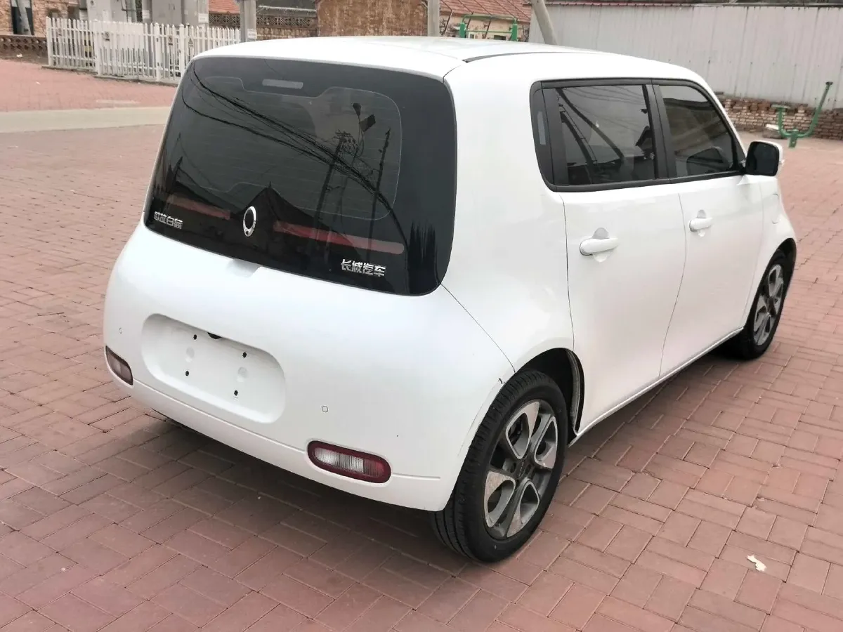 2020 Ora WhiteCat BEV 29.4KWH,autocango,china used car exporter,china ev exporter,chinese used car exporter,chinese used ev exporter