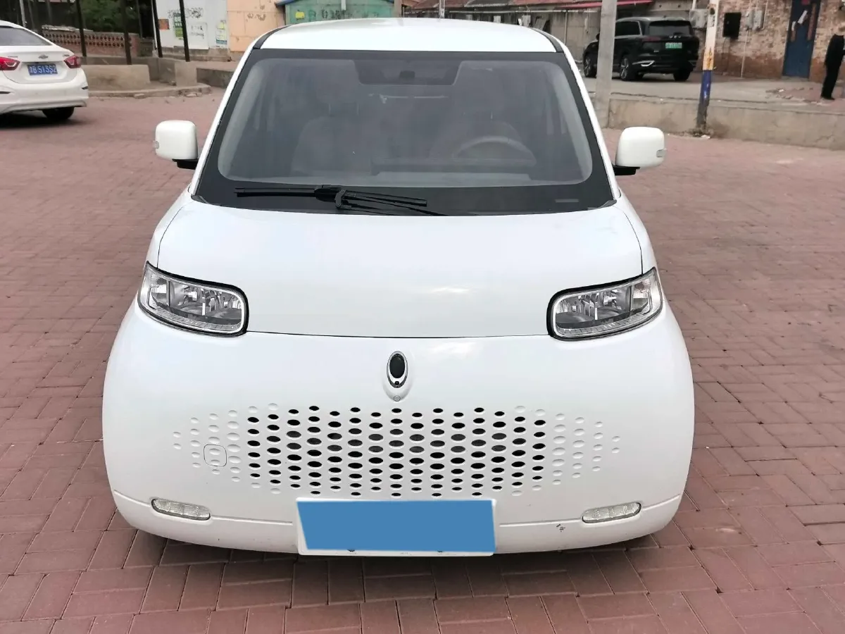 2020 Ora WhiteCat BEV 29.4KWH,autocango,china used car exporter,china ev exporter,chinese used car exporter,chinese used ev exporter