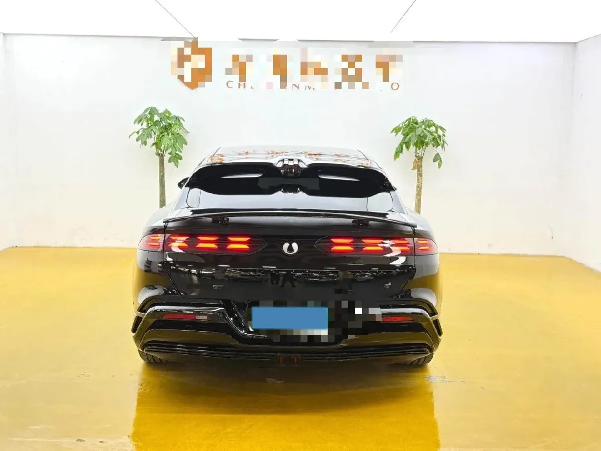 2024 Denza DenzaZ9GT 2.0T 207HP L4 E-CVT PHEV 38.5KWH,autocango,china used car exporter,china ev exporter,chinese used car exporter,chinese used ev exporter