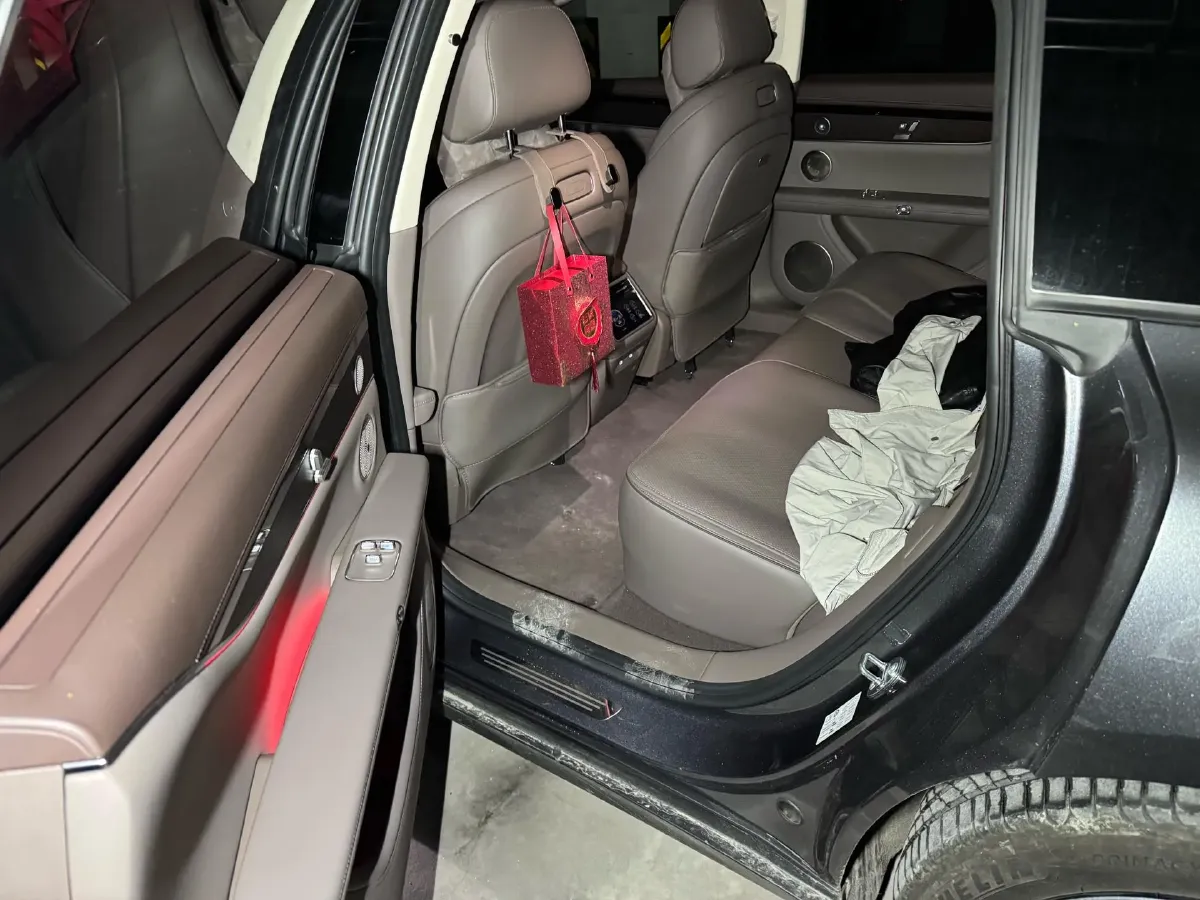 2025 HIMA Stelato S9T REEV 160HP REEV,autocango,china used car exporter,china ev exporter,chinese used car exporter,chinese used ev exporter