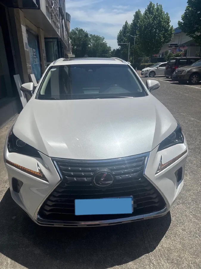 2018 Lexus NX 2.0T 238HP L4 6AT,autocango,china used car exporter,china ev exporter,chinese used car exporter,chinese used ev exporter