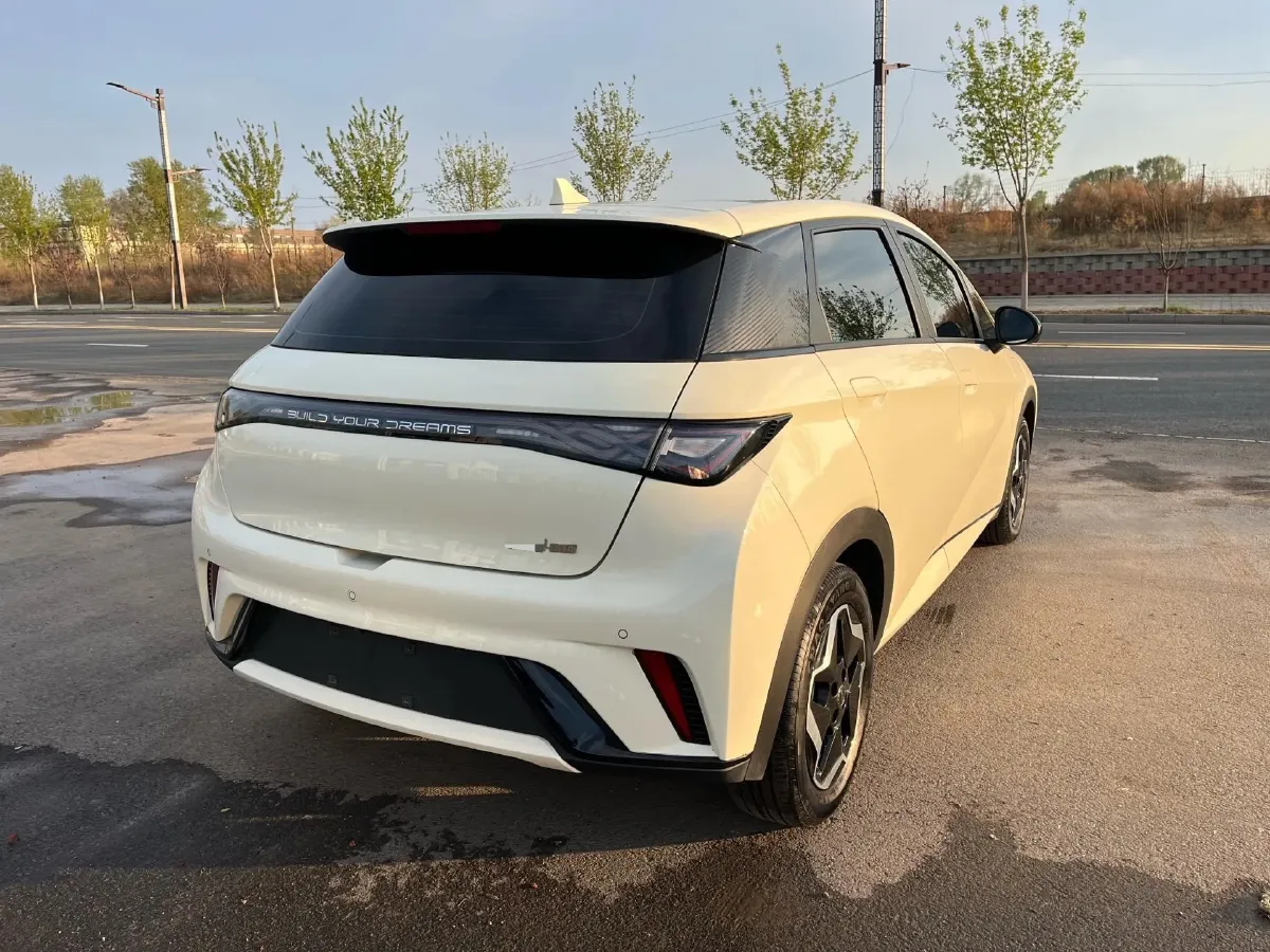 2021 BYD Yuan Pro BEV 50.1KWH,autocango,china used car exporter,china ev exporter,chinese used car exporter,chinese used ev exporter