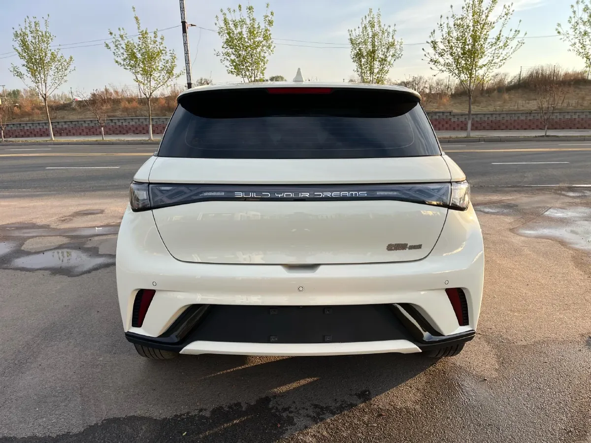 2021 BYD Yuan Pro BEV 50.1KWH,autocango,china used car exporter,china ev exporter,chinese used car exporter,chinese used ev exporter