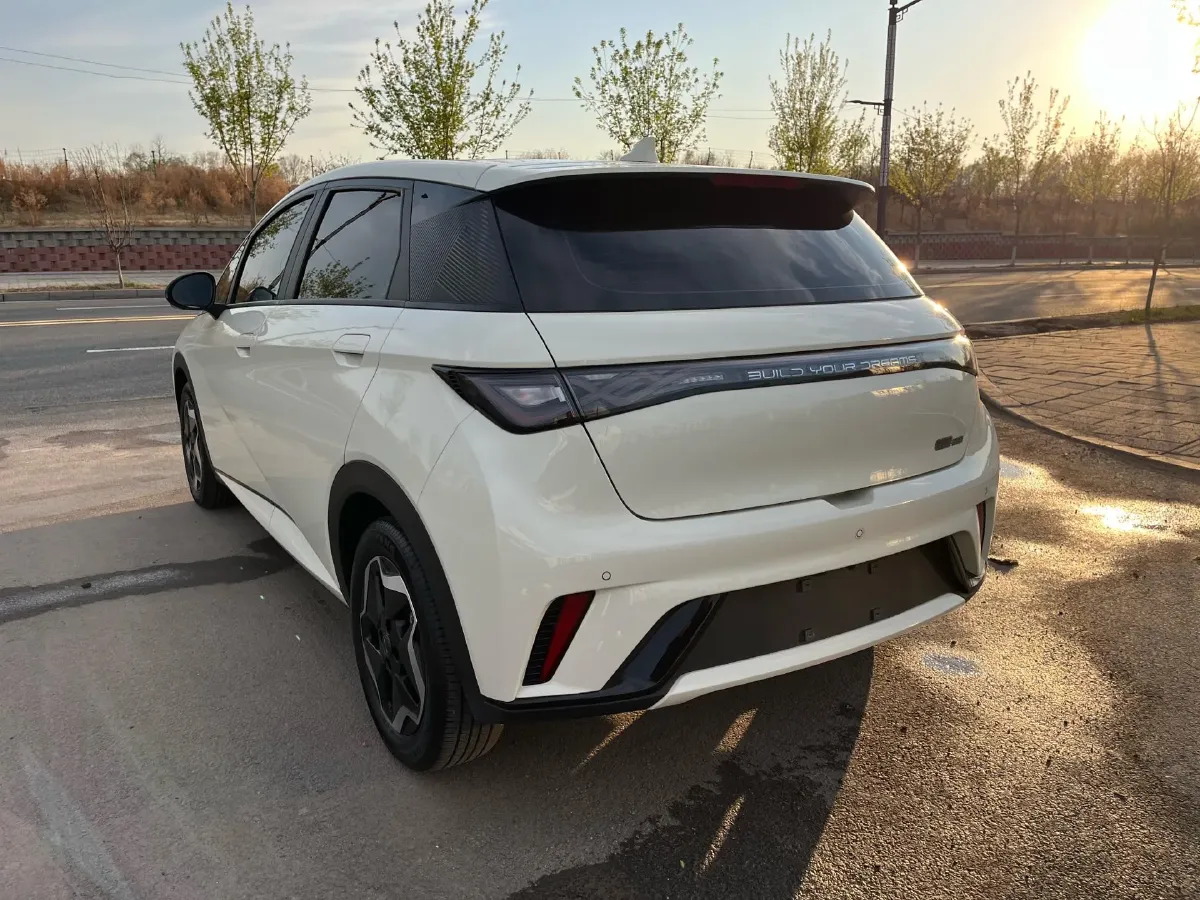 2021 BYD Yuan Pro BEV 50.1KWH,autocango,china used car exporter,china ev exporter,chinese used car exporter,chinese used ev exporter