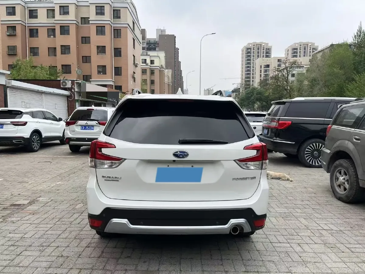 2021 Subaru Forester 2.0L 154HP H4 CVT,autocango,china used car exporter,china ev exporter,chinese used car exporter,chinese used ev exporter