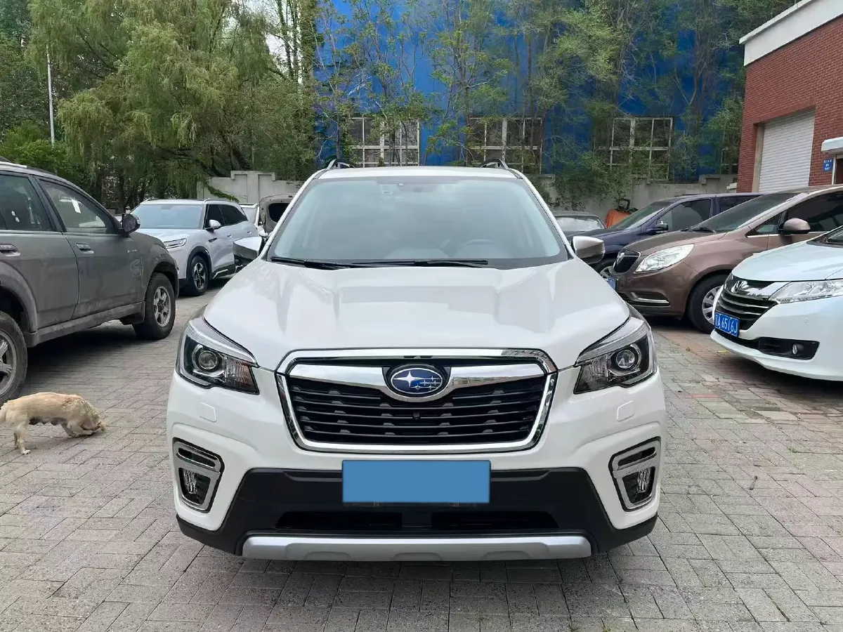 2021 Subaru Forester 2.0L 154HP H4 CVT,autocango,china used car exporter,china ev exporter,chinese used car exporter,chinese used ev exporter