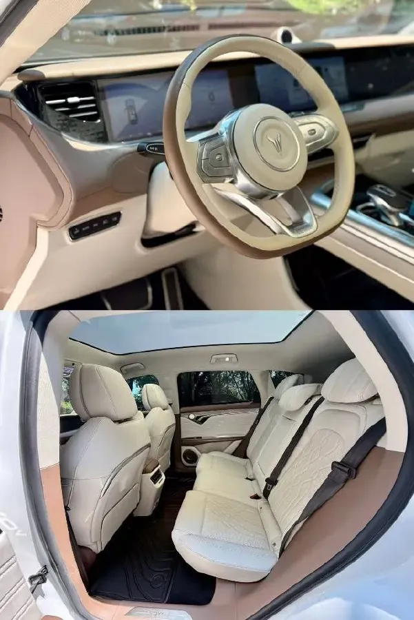 2021 Voyah FREE BEV 88KWH,autocango,china used car exporter,china ev exporter,chinese used car exporter,chinese used ev exporter