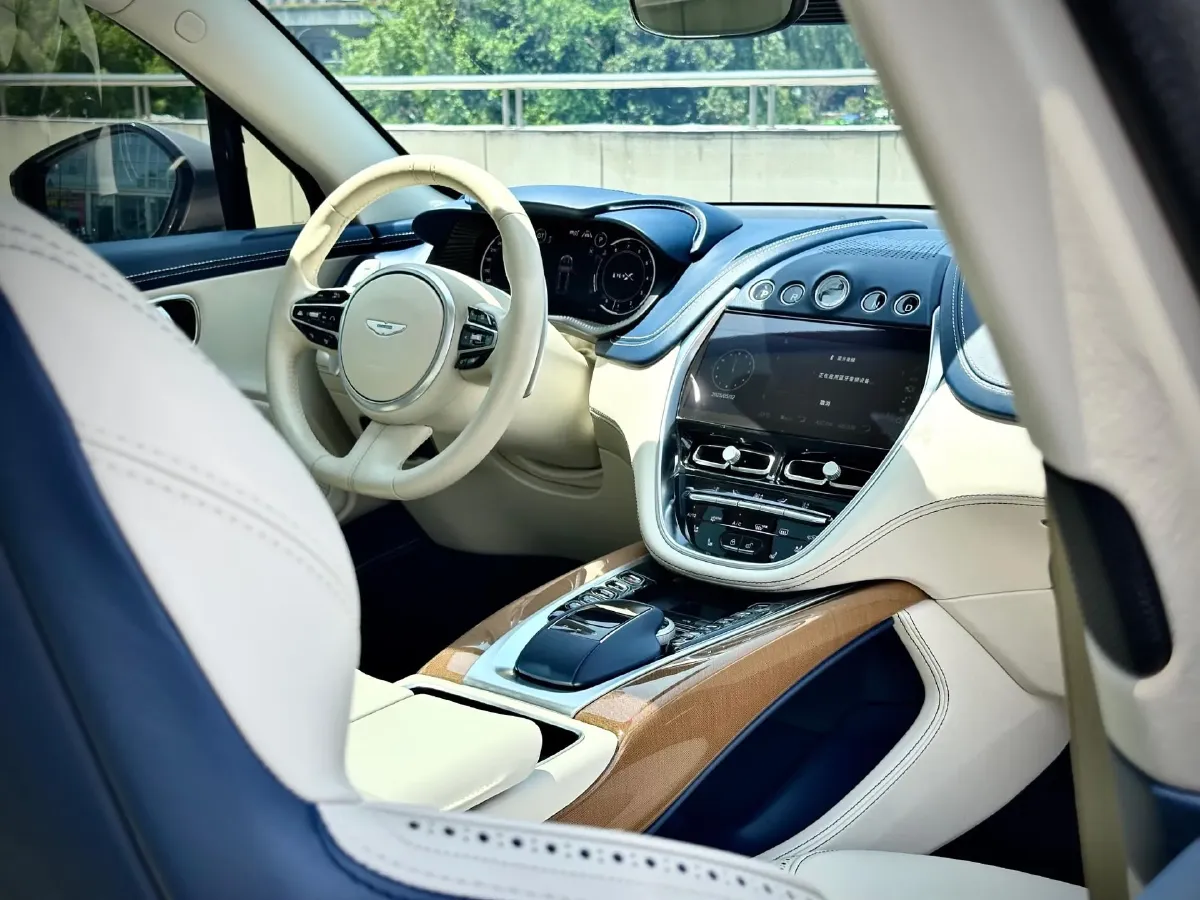 2020 Aston Martin DBX 4.0T 550HP V8 9AT,autocango,china used car exporter,china ev exporter,chinese used car exporter,chinese used ev exporter