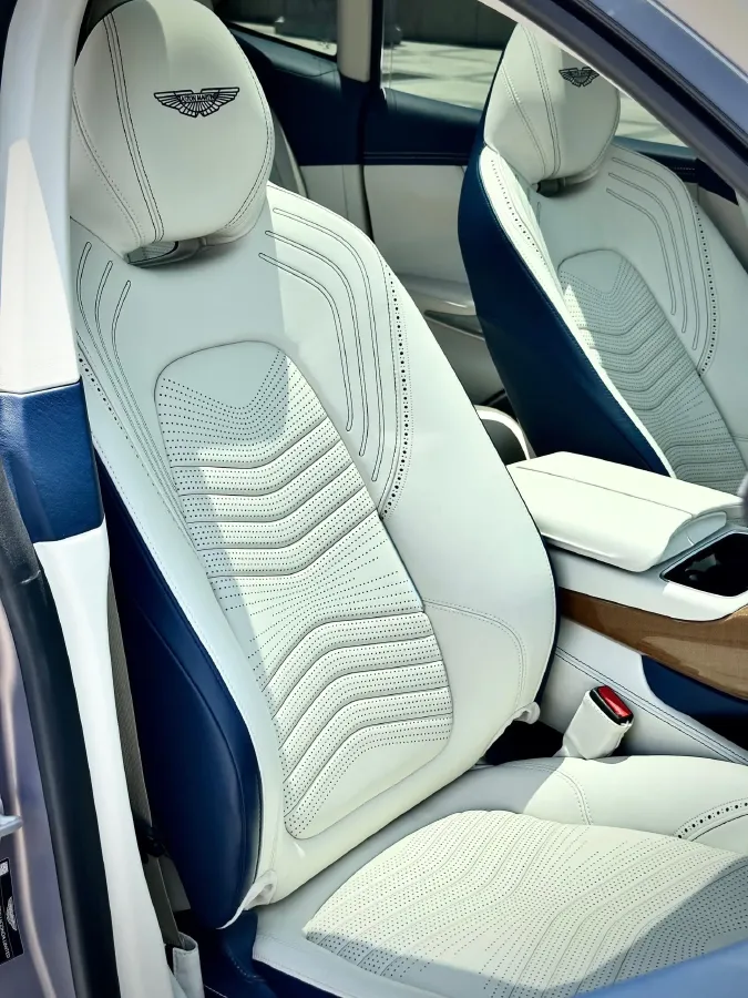 2020 Aston Martin DBX 4.0T 550HP V8 9AT,autocango,china used car exporter,china ev exporter,chinese used car exporter,chinese used ev exporter
