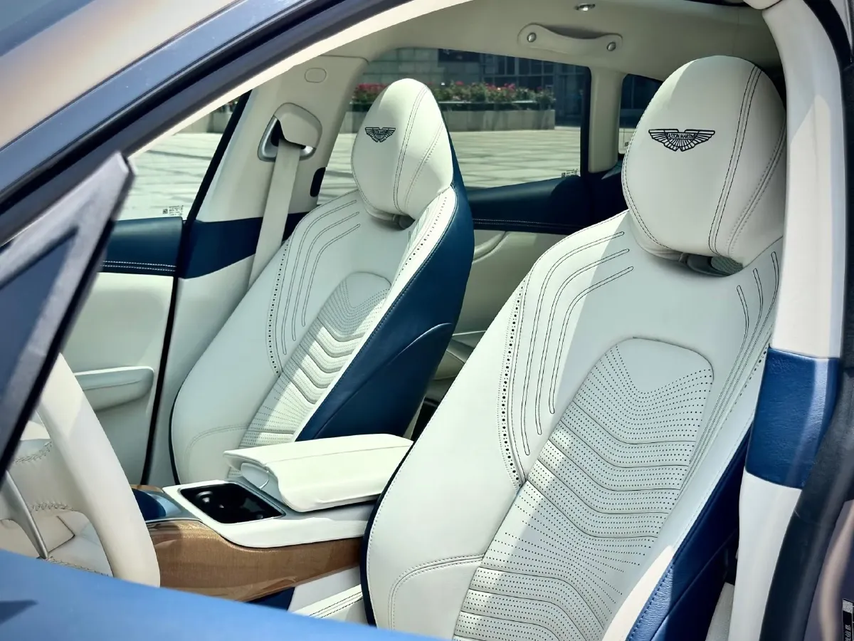 2020 Aston Martin DBX 4.0T 550HP V8 9AT,autocango,china used car exporter,china ev exporter,chinese used car exporter,chinese used ev exporter
