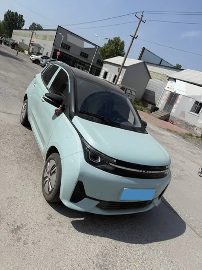 2021 Levdeo Mango BEV 29.44KWH,autocango,china used car exporter,china ev exporter,chinese used car exporter,chinese used ev exporter