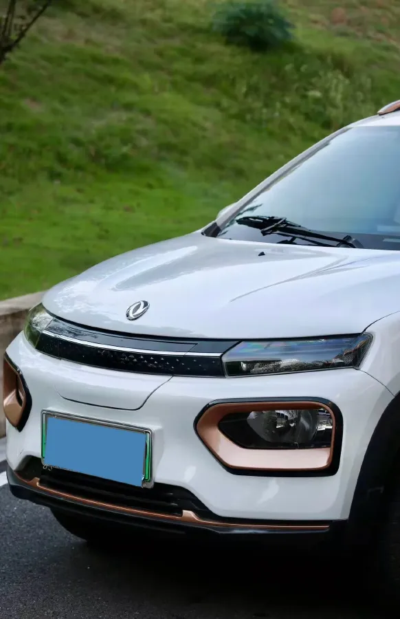 2022 DongFeng Nammi BOX BEV 27.17KWH,autocango,china used car exporter,china ev exporter,chinese used car exporter,chinese used ev exporter