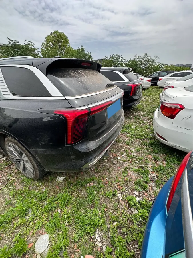 2022 HongQi E-HS9 BEV 120KWH,autocango,china used car exporter,china ev exporter,chinese used car exporter,chinese used ev exporter