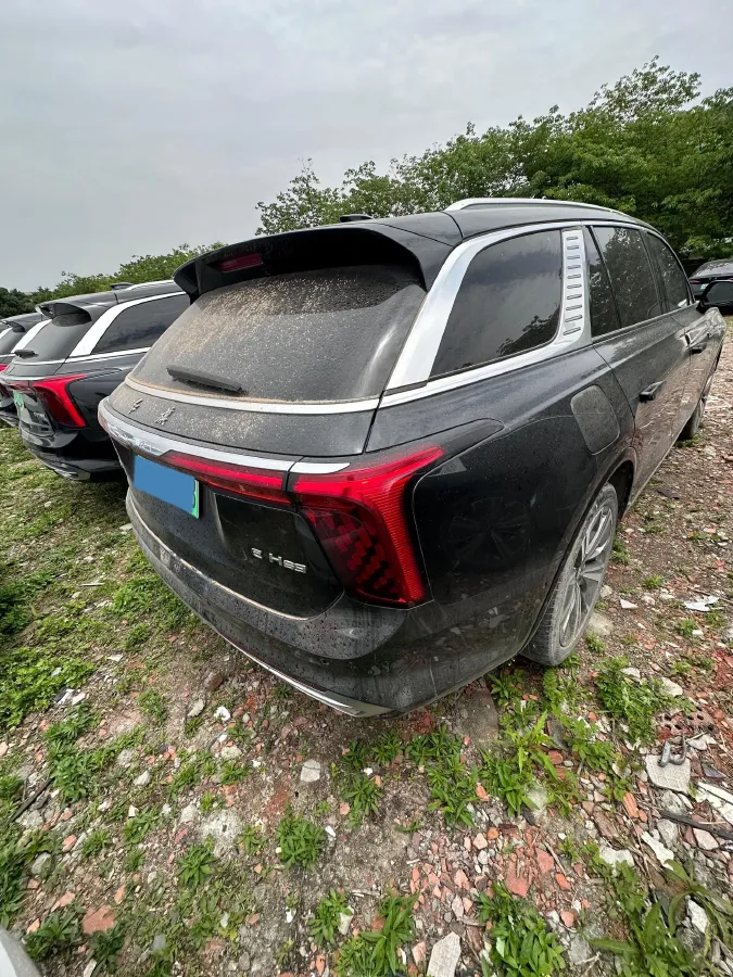 2022 HongQi E-HS9 BEV 120KWH,autocango,china used car exporter,china ev exporter,chinese used car exporter,chinese used ev exporter