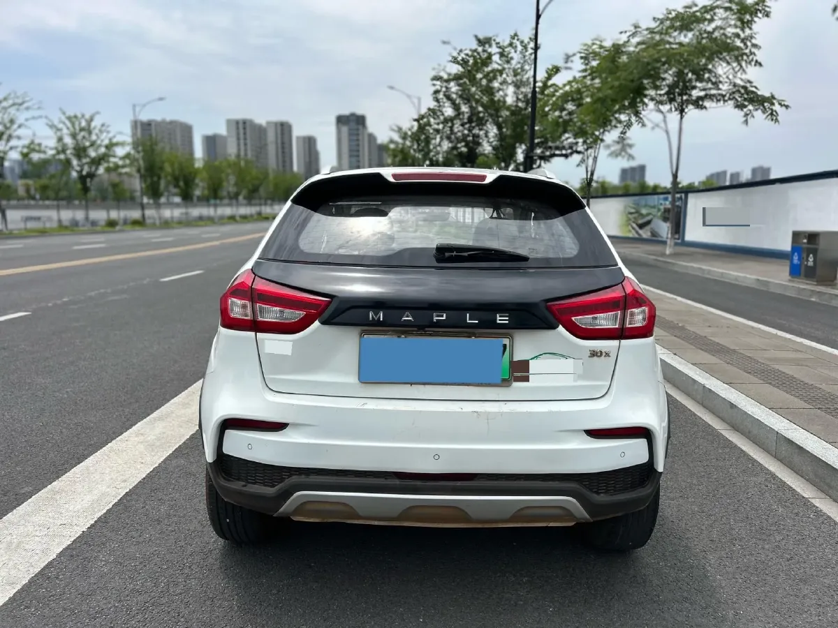 2020 Livan Maple 30X BEV 37KWH,autocango,china used car exporter,china ev exporter,chinese used car exporter,chinese used ev exporter