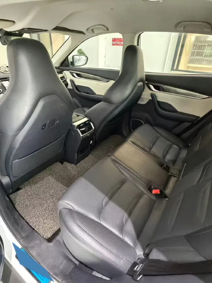 2019 Weltmeister EX5 BEV 56.94KWH,autocango,china used car exporter,china ev exporter,chinese used car exporter,chinese used ev exporter