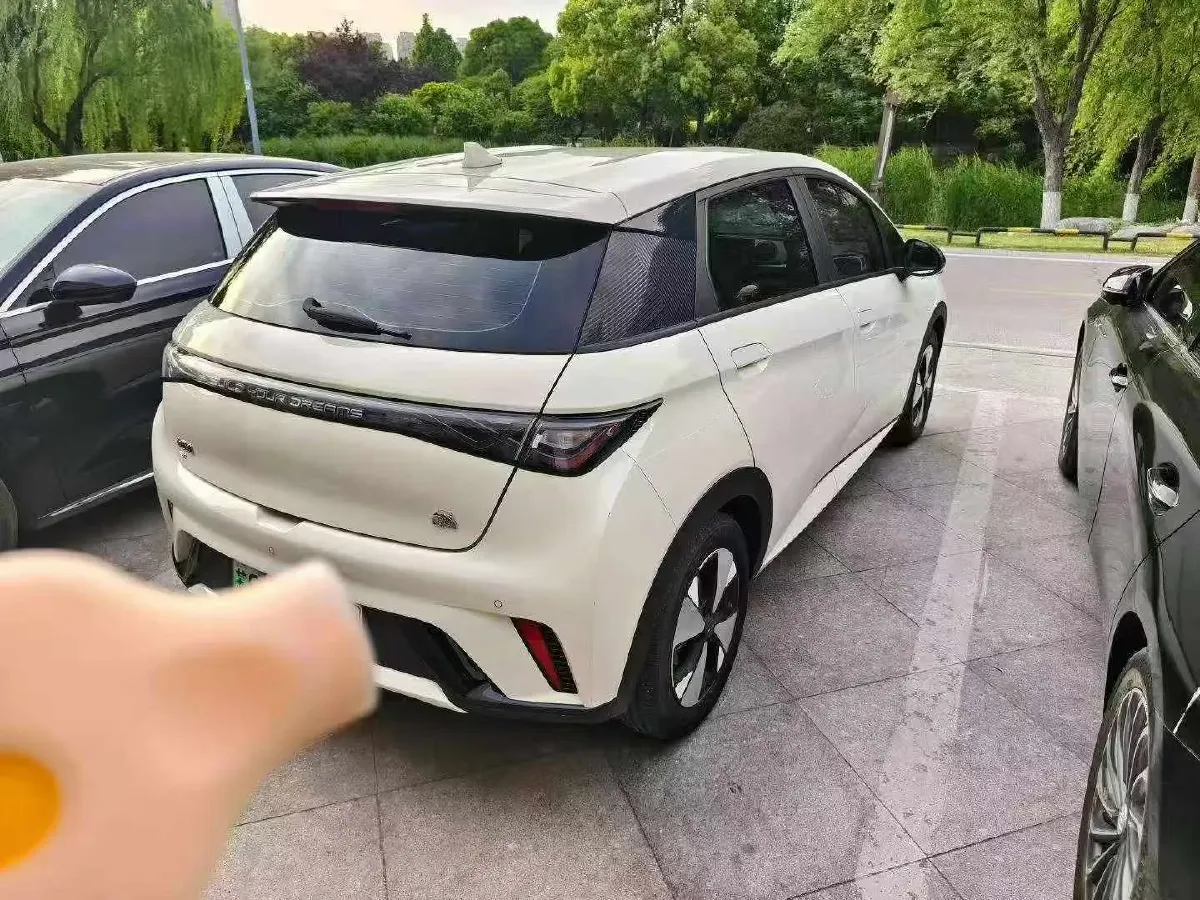 2023 BYD Dolphin BEV 44.928KWH,autocango,china used car exporter,china ev exporter,chinese used car exporter,chinese used ev exporter
