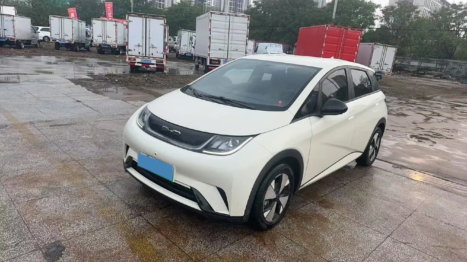 2023 BYD Dolphin BEV 44.928KWH,autocango,china used car exporter,china ev exporter,chinese used car exporter,chinese used ev exporter