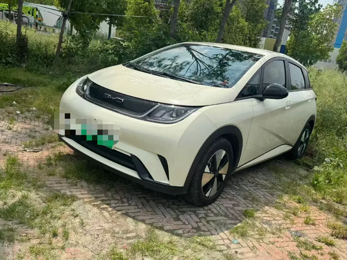 2023 BYD Dolphin BEV 44.928KWH,autocango,china used car exporter,china ev exporter,chinese used car exporter,chinese used ev exporter