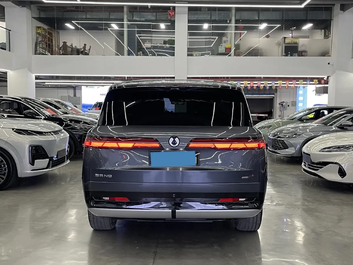 2025 Denza DenzaN9 2.0T 207HP L4 E-CVT PHEV,autocango,china used car exporter,china ev exporter,chinese used car exporter,chinese used ev exporter