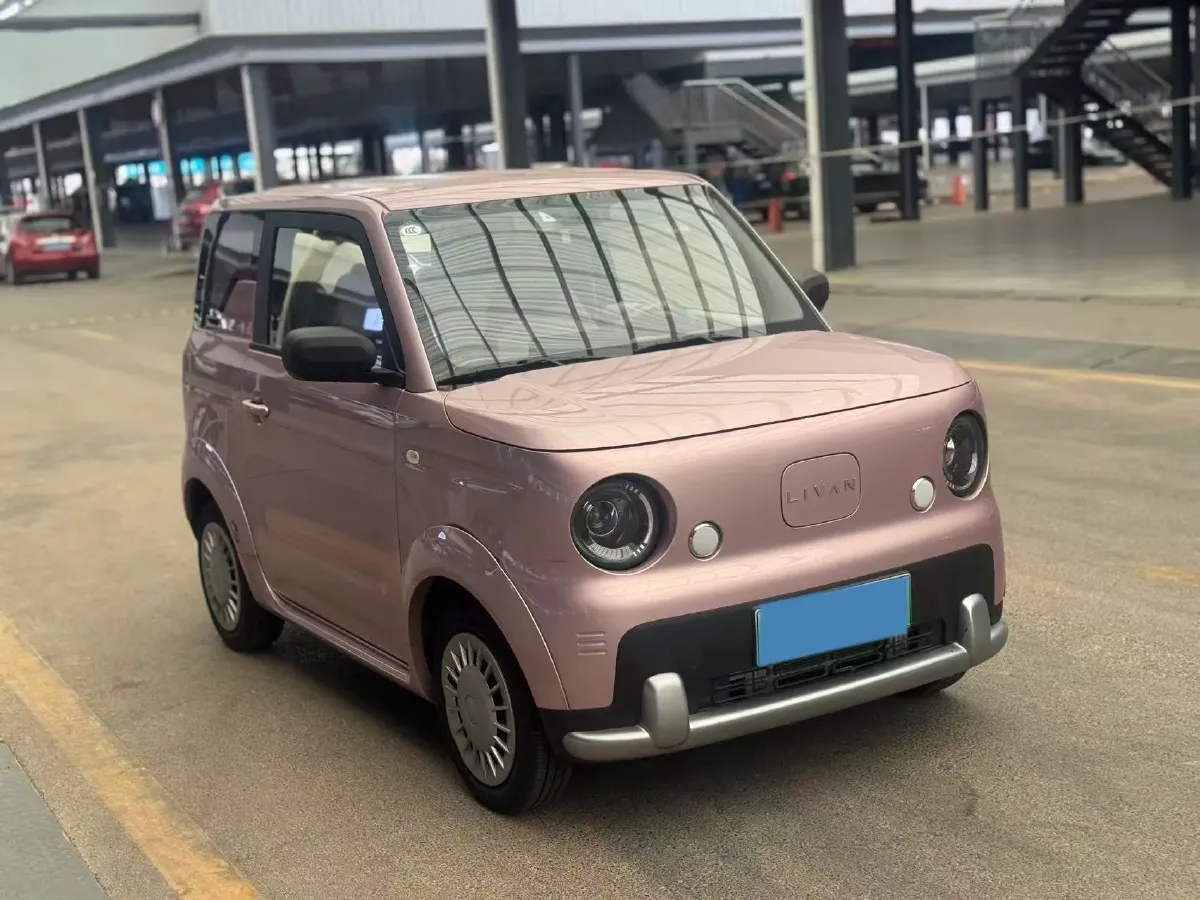 2025 ZD Rainbow BEV,autocango,china used car exporter,china ev exporter,chinese used car exporter,chinese used ev exporter