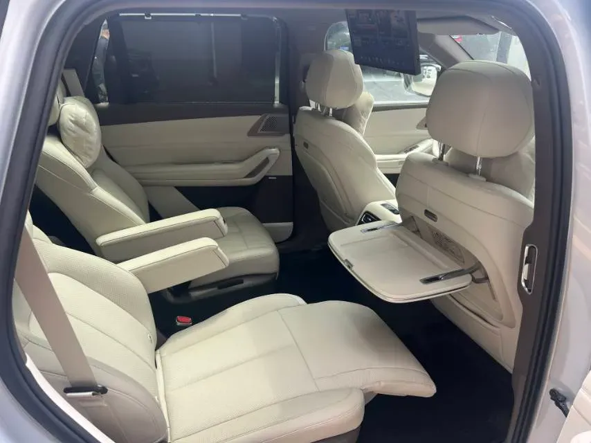 2025 Denza DenzaN8L 2.0T 207HP L4 E-CVT PHEV,autocango,china used car exporter,china ev exporter,chinese used car exporter,chinese used ev exporter