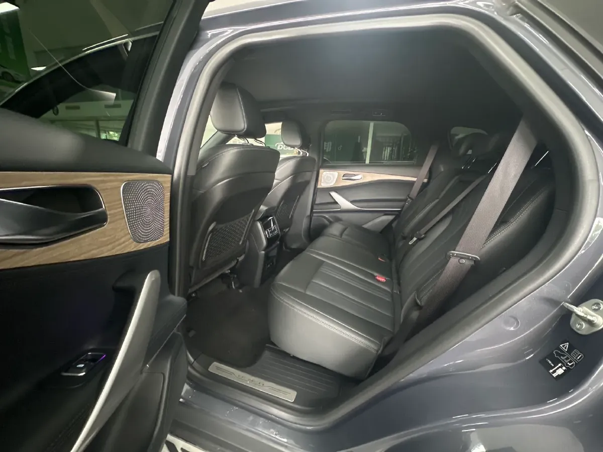 2020 Denza X 2.0T 192HP L4 6DCT PHEV 20KWH,autocango,china used car exporter,china ev exporter,chinese used car exporter,chinese used ev exporter