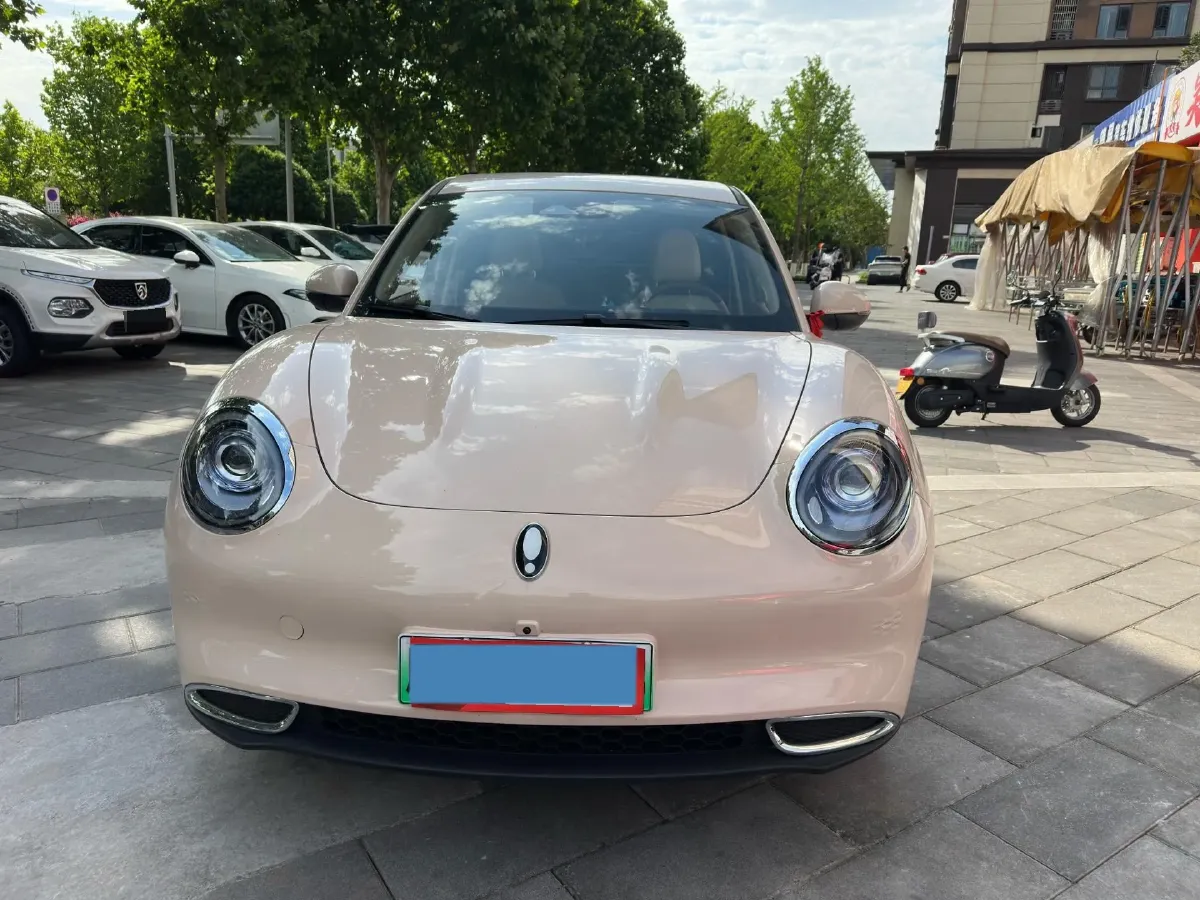 2024 Ora FunkyCat BEV 47.8KWH,autocango,china used car exporter,china ev exporter,chinese used car exporter,chinese used ev exporter