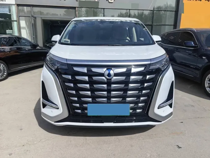 2024 Denza D9 1.5T 139HP L4 E-CVT PHEV 40KWH,autocango,china used car exporter,china ev exporter,chinese used car exporter,chinese used ev exporter