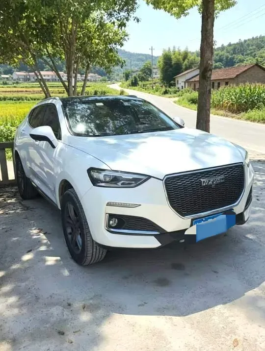 2019 Haval F5 1.5T 169HP L4 7DCT,autocango,china used car exporter,china ev exporter,chinese used car exporter,chinese used ev exporter