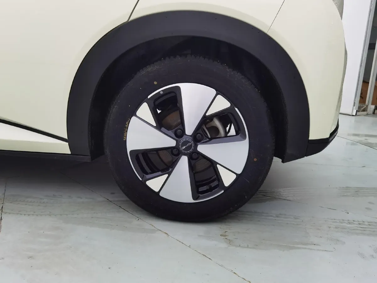 2023 BYD Dolphin BEV 44.928KWH,autocango,china used car exporter,china ev exporter,chinese used car exporter,chinese used ev exporter