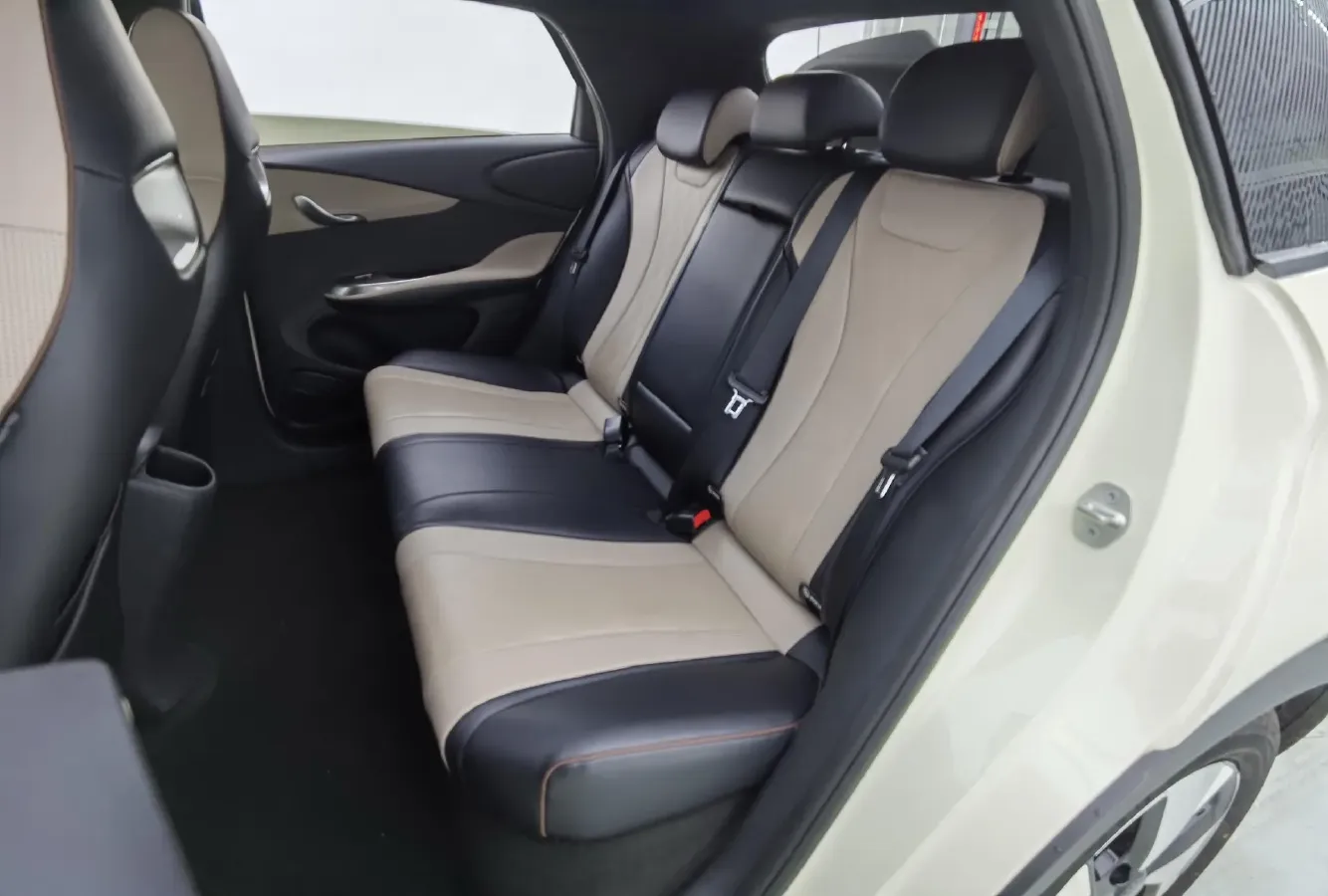 2023 BYD Dolphin BEV 44.928KWH,autocango,china used car exporter,china ev exporter,chinese used car exporter,chinese used ev exporter