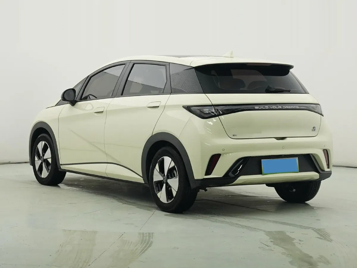 2023 BYD Dolphin BEV 44.928KWH,autocango,china used car exporter,china ev exporter,chinese used car exporter,chinese used ev exporter