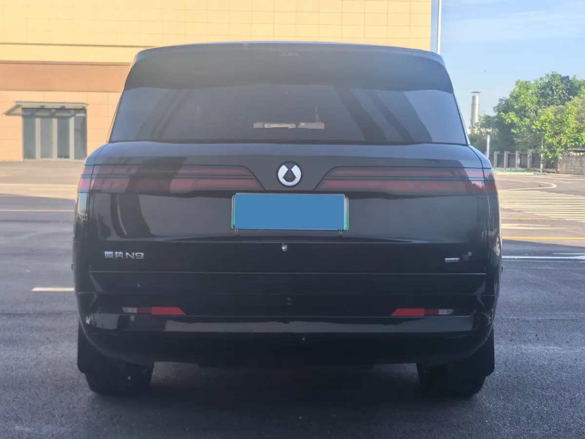 2025 Denza DenzaN9 2.0T 207HP L4 E-CVT PHEV,autocango,china used car exporter,china ev exporter,chinese used car exporter,chinese used ev exporter