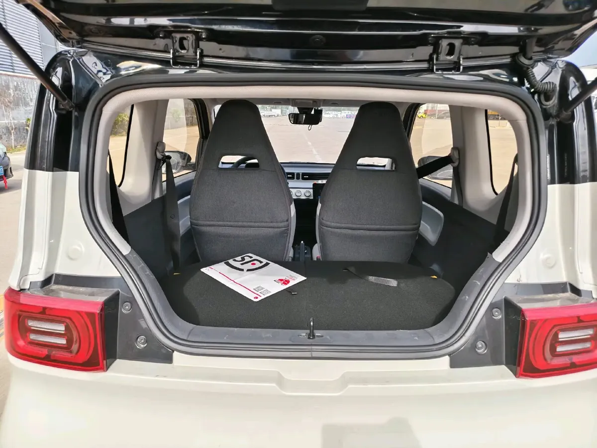 2022 DongFeng Fengon Fengon MINI EV BEV 9.18KWH,autocango,china used car exporter,china ev exporter,chinese used car exporter,chinese used ev exporter