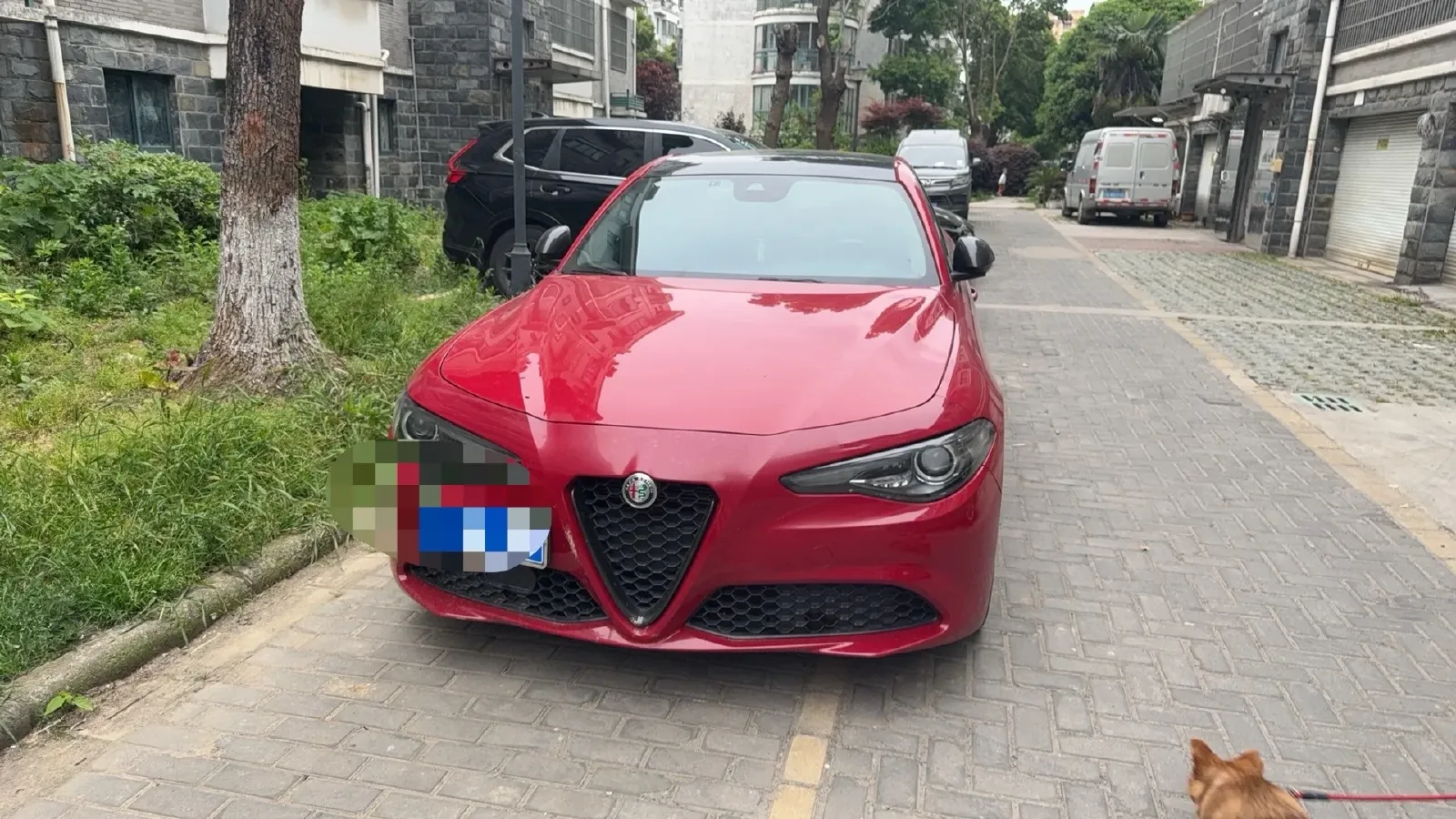 2020 Alfa Romeo Giulia 2.0T 280HP L4 8AT,autocango,china used car exporter,china ev exporter,chinese used car exporter,chinese used ev exporter