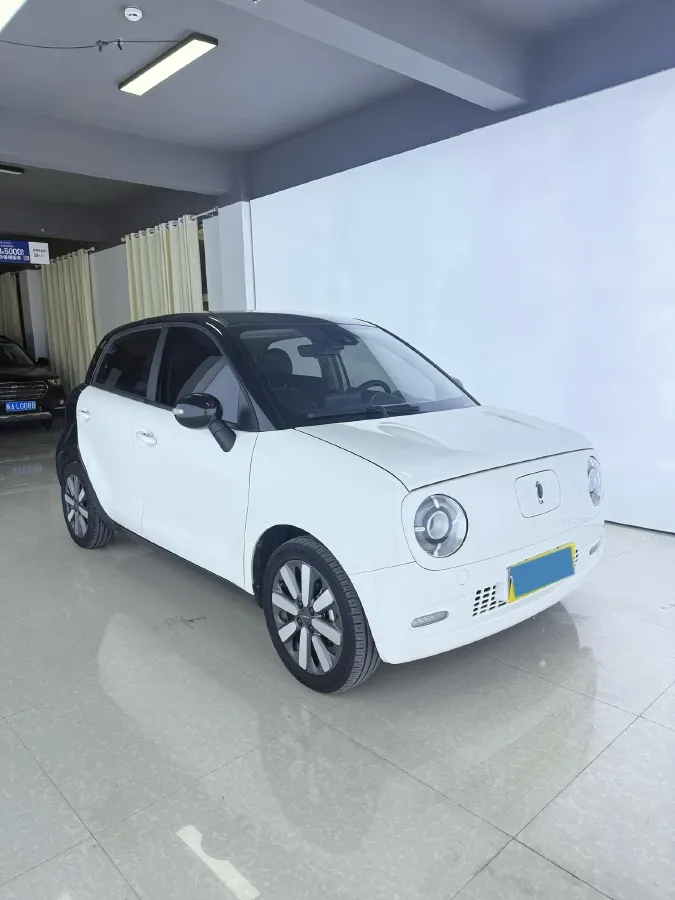 2021 Ora BlackCat BEV 33KWH,autocango,china used car exporter,china ev exporter,chinese used car exporter,chinese used ev exporter
