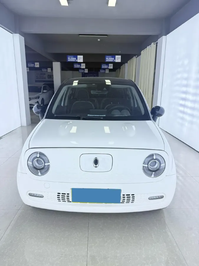 2021 Ora BlackCat BEV 33KWH,autocango,china used car exporter,china ev exporter,chinese used car exporter,chinese used ev exporter