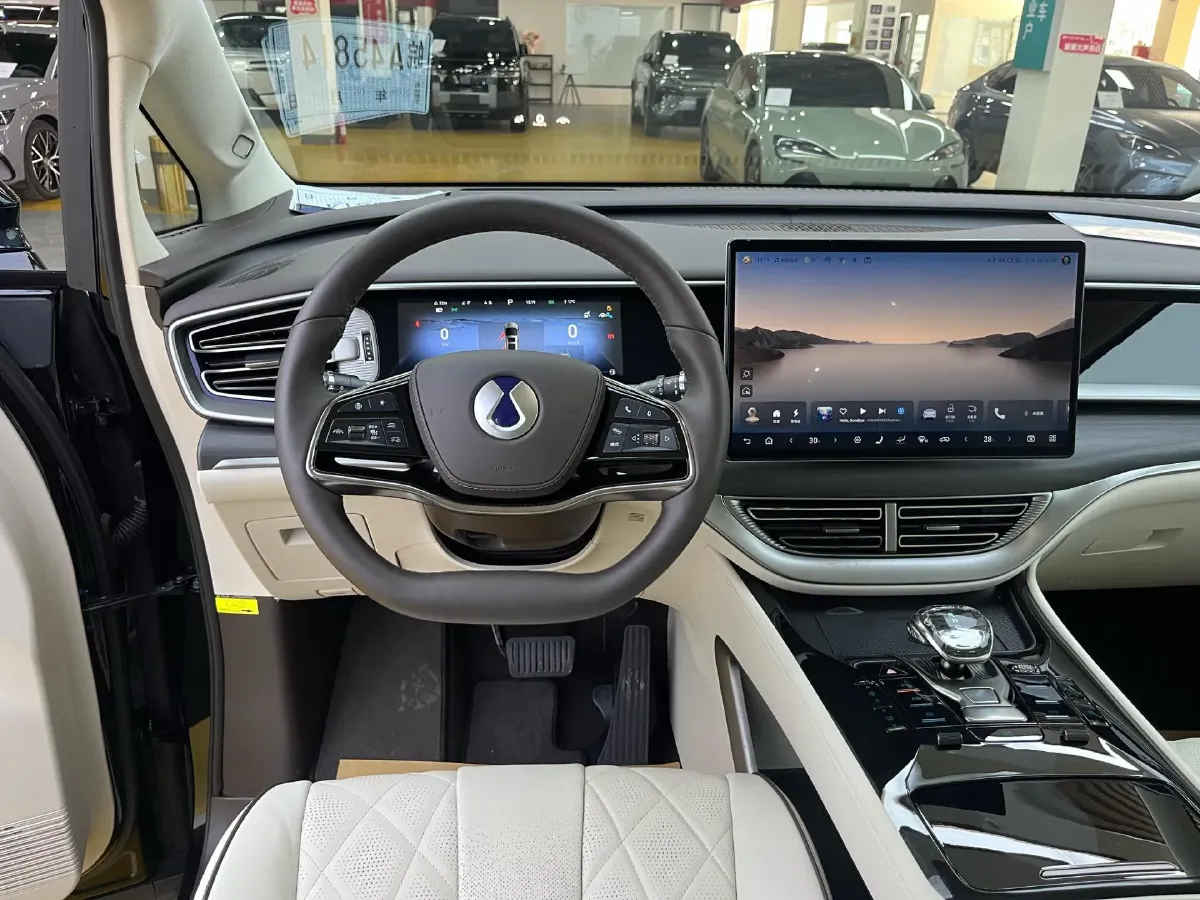 2024 Denza D9 1.5T 139HP L4 E-CVT PHEV 40KWH,autocango,china used car exporter,china ev exporter,chinese used car exporter,chinese used ev exporter