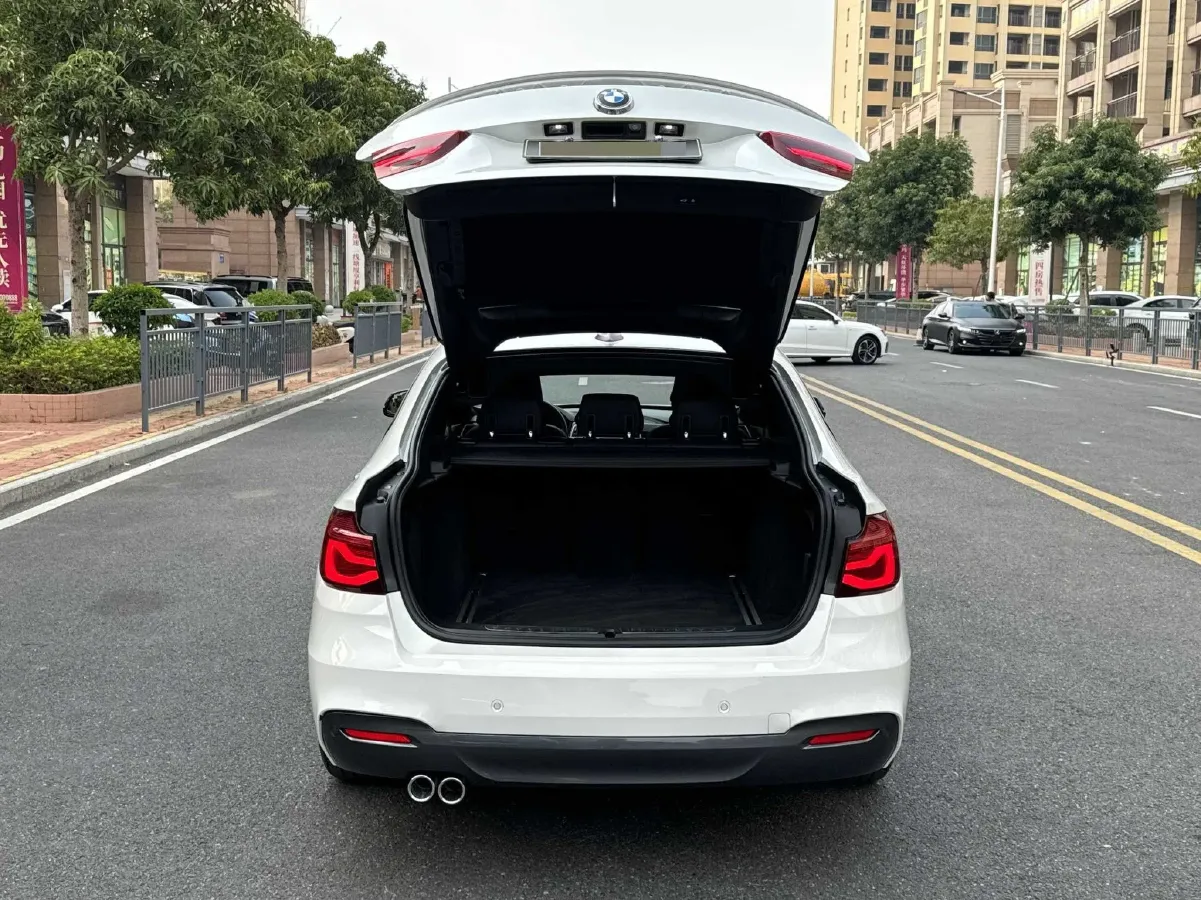 2020 BMW 3 Series GT 2.0T 184HP L4 8AT,autocango,china used car exporter,china ev exporter,chinese used car exporter,chinese used ev exporter