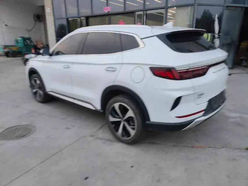 2021 SRM Sea Lion EV BEV 41.86KWH,autocango,china used car exporter,china ev exporter,chinese used car exporter,chinese used ev exporter