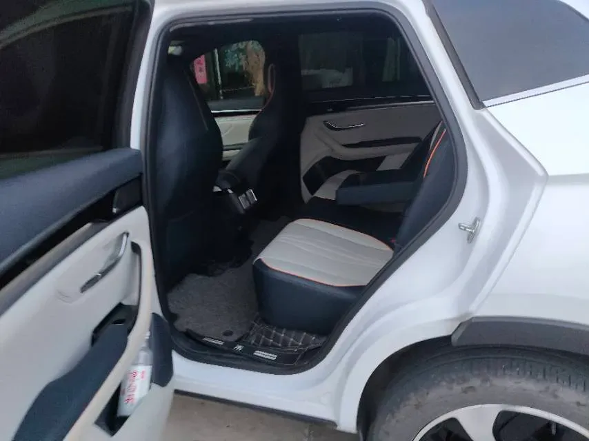 2021 SRM Sea Lion EV BEV 41.86KWH,autocango,china used car exporter,china ev exporter,chinese used car exporter,chinese used ev exporter